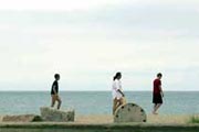 Photo: Hammonasset Picnic Shelter